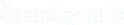 brandsynario logo